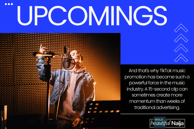 Digital marketing roadmap for independent musicians covering music branding, TikTok marketing, audience building, artist promotion, content creation, and social media growth strategies.